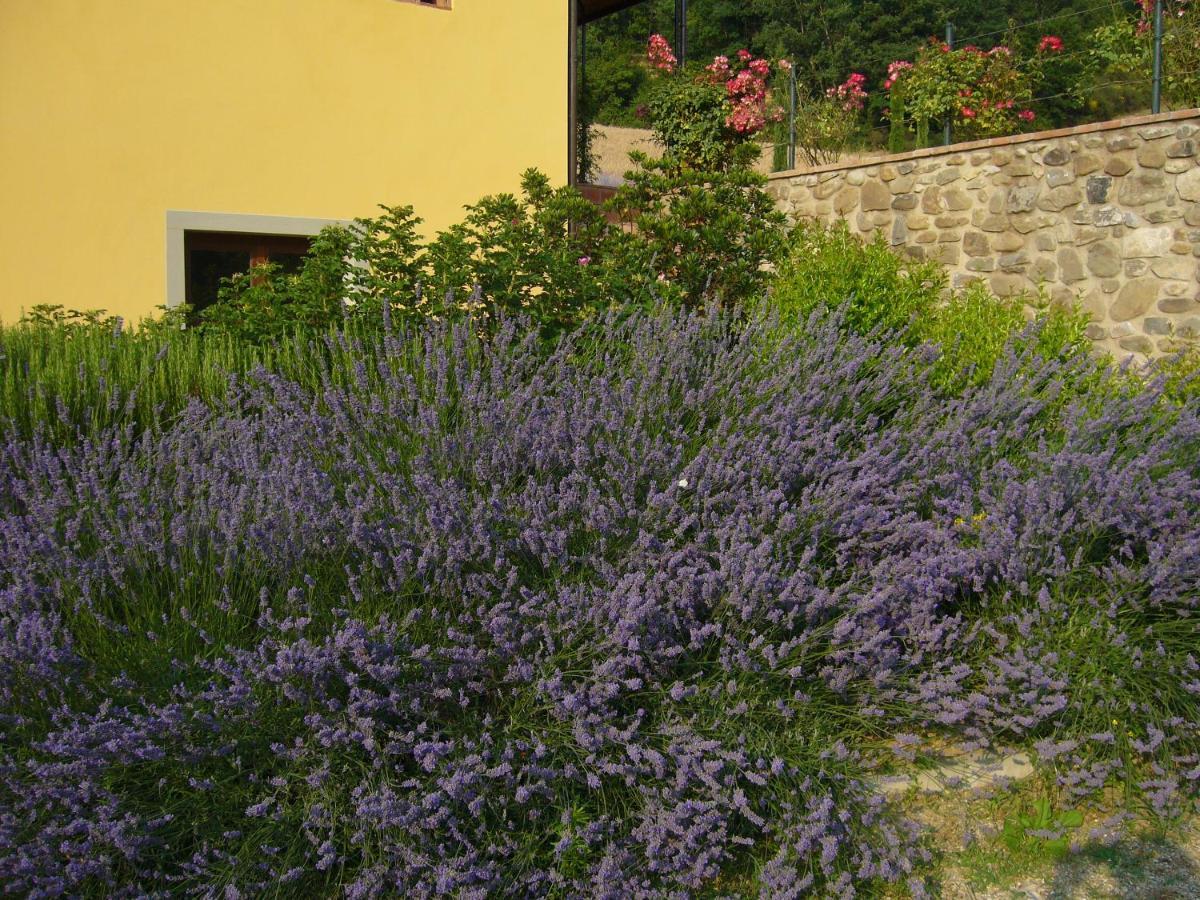 Agriturismo Podere Filicaia San Giovanni Valdarno Kültér fotó